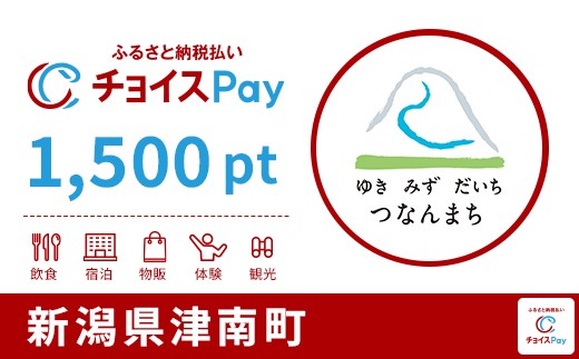 
            津南町チョイスPay 1,500pt【会員限定のお礼の品】
          