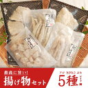 【ふるさと納税】土佐大月海産　揚げ物セット　5種