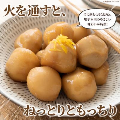 ふるさと納税 西予市 <朝霧育ちのねっとり里芋 約1kg>野菜 やさい さといも |  | 02
