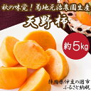 【ふるさと納税】【数量限定】秋の味覚！お徳用 約5kg 菊地元治農園の天野柿 ／ 送料無料 静岡県 220725-01