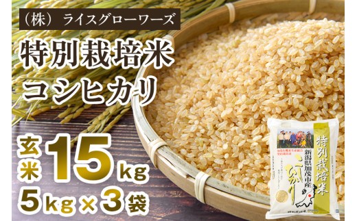 【令和8年産新米先行予約】新潟県加茂市産 特別栽培米コシヒカリ 玄米15kg（5kg×3）《10月上旬～順次出荷》 従来品種コシヒカリ （株）ライスグローワーズ