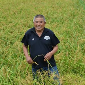 じゃがいも3種食べ比べ(キタアカリ・とうや・メークイン)計約6kg / じゃがいも ジャガイモ 馬鈴薯 キタアカリ とうや メークイン いも イモ 芋 詰合せ 食べ比べ 産地直送 野菜 6kg 千葉県
