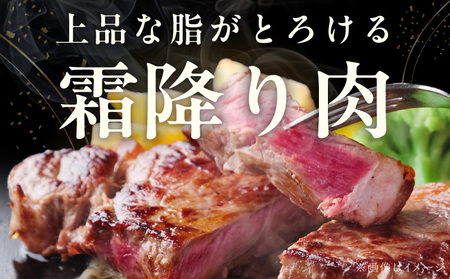 【A4ランク】黒毛和牛 サーロインステーキ 500g 化粧箱入り【氷温熟成×極味付け 250g×2 牛肉 ギフト プレゼント 贈り物】