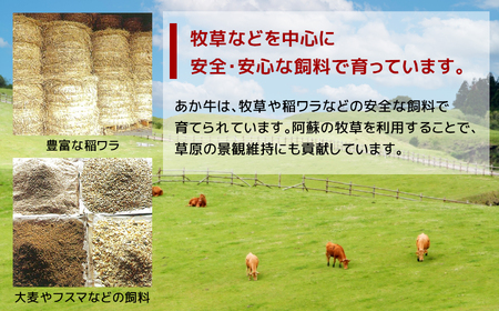 【定期便3回】あか牛 白 ホルモン 計500g (250g×2P)