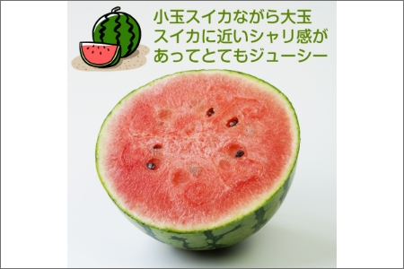 【0140-3】和歌山産小玉すいか ひとりじめ7(2～3玉)