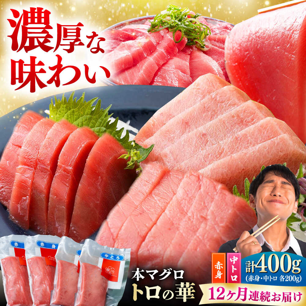 【ふるさと納税】【全12回定期便】対馬産 本マグロ 400g（赤身200g、中トロ200g） ≪対馬市≫【桐谷商店】 トロの華 対馬 新鮮 マグロ 赤身 トロ 鮪 刺身[WAQ066]