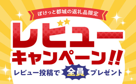 職人手焼きの本格うなぎ蒲焼き3尾_AC-3301_(都城市) 鰻蒲焼 3尾 (総重量450g以上) タレ付き (30ml×3個) 国産うなぎの蒲焼き 特製たれ付き 冷凍 ウナギ かば焼き