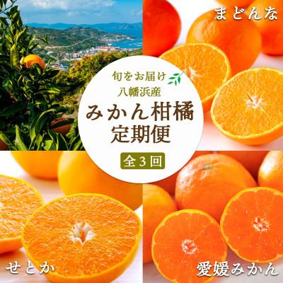ふるさと納税 八幡浜市 【発送月固定定期便】愛媛みかん大玉8kg×まどんな2.5kg×せとか2kg【H25-281】全3回