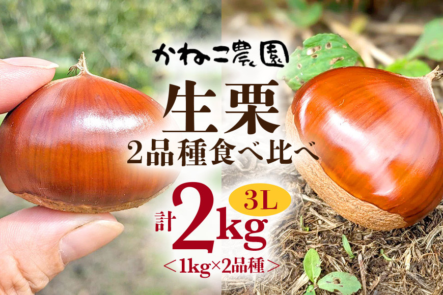 
                  笠間の栗・かねこ農園の生栗 食べ比べ1kg×2品種（3L） 栗 クリ くり 生栗 茨城県 笠間市
                