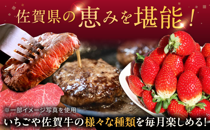 【全3回定期便】いちごさんと佐賀牛定期便 / ステーキ 焼肉 ハンバーグ いちごさん / 佐賀県ふるさと納税 [41AAZZ011-1]