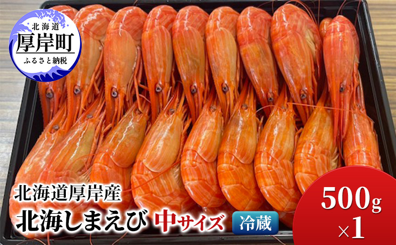 
            北海道 厚岸産 北海しまえび 中サイズ 500g×1 冷蔵 海老 エビ[№5863-1143]
          