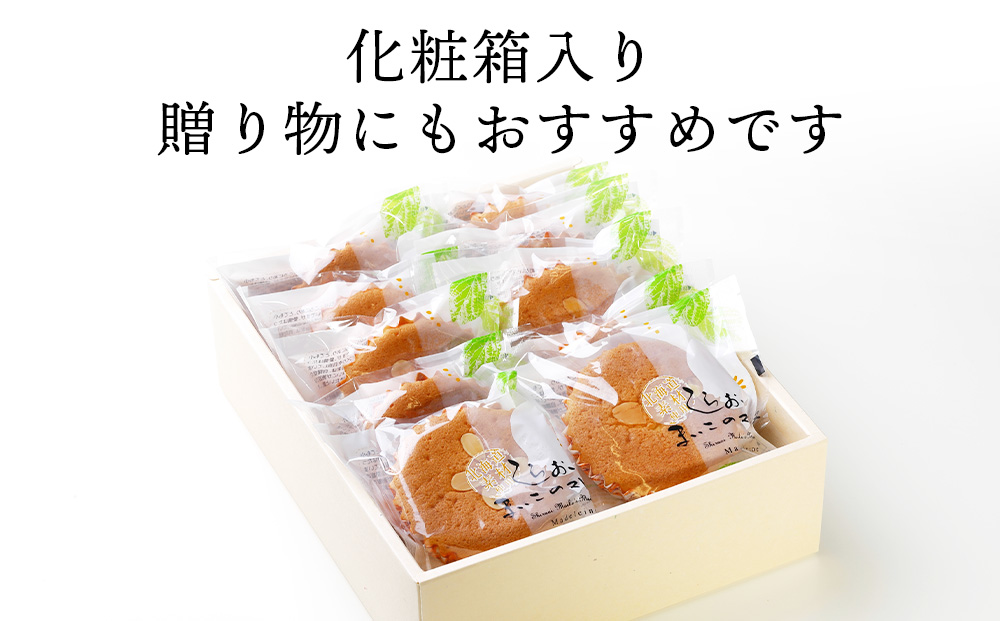まいこのマドレーヌ　10個入×2箱 AR077_イメージ3