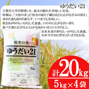 【栃木県共通返礼品】【先行予約】ゆうだい21 20kg（5kg×4袋） | 米 こめ コメ kome 白米 精米 お米 ゆうだい ユウダイ ﾕｳﾀﾞｲ 新米 栃木米 大粒 粘り 甘み お弁当 おにぎり
