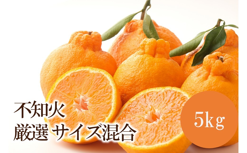 
                  不知火厳選(サイズ混合) 5kg
                