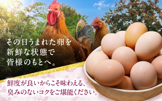 こだわり飼料の高級ブランド卵「名古屋コーチン」を大容量でお届け！