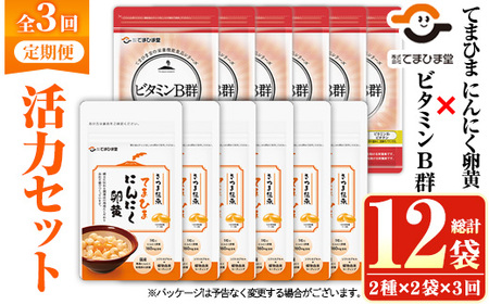 No.1298-A ＜定期便・全3回(隔月)＞活力セット(てまひま にんにく卵黄・ビタミンB群/各2袋×3回 計12袋) 鹿児島 日置市 ニンニク 健康食品 加工食品 栄養 元気 有精卵 カプセル 手軽に 安全安心【てまひま堂】