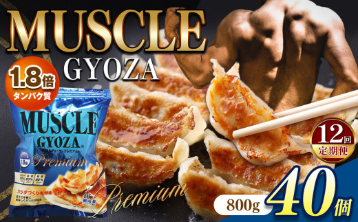 【定期便12回】MUSCLE GYOZA PREMIUM　～マッスルギョーザプレミアム～　冷凍餃子40個入り1袋 | 餃子 ギョーザ 高タンパク 低糖質 低脂質 低カロリー マッスルギョーザ 長野県 松本市 信州産 ふるさと納税