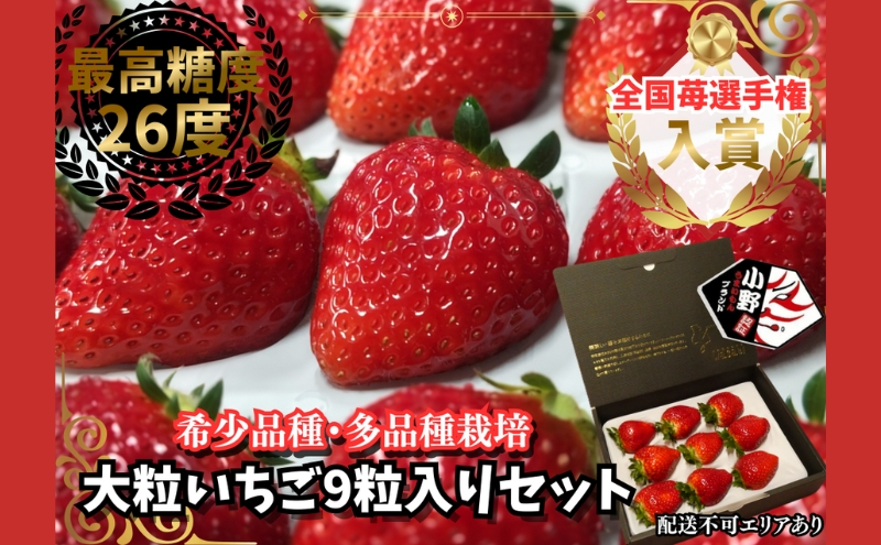
特大粒いちご9粒入りセット
