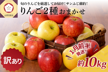 【2026年1月前半発送】 【訳あり】 りんご 約10kg サンふじ確約 青森産 品種おまかせ2種以上