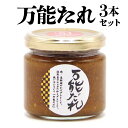 【ふるさと納税】万能だれ3本セット 白長ねぎ 調味料 調味 薬味 万能調味料 ごはんのお供 おつまみ つまみ おかず お弁当 高千穂町産 国産 特産 特産品 加工品 加工食品 グルメ 贈答 贈り物 ギフト プレゼント お祝い 内祝い 普段使い お取り寄せ 宮崎県 高千穂町 送料無料