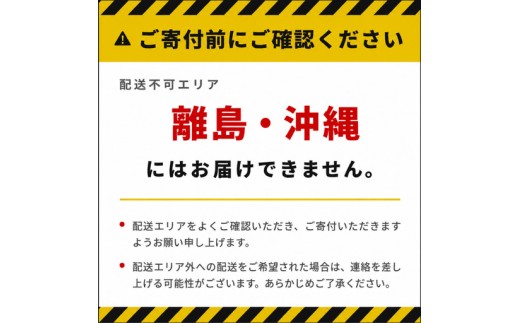 煎餅 せんべい 詰め合わせ 9袋 10000円 おかき あられ 贈答 おかし 名産 お菓子 アユ 若鮎 海老 あゆコロちゃん ざらめ ギフト 小袋セットあつぎOECフード 神奈川県 厚木市  三河屋 TRS007
