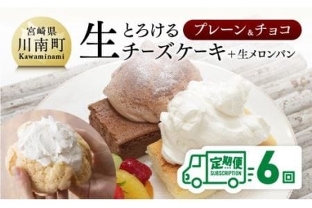 【定期便6回コース】とろける生チーズケーキ（プレーン・チョコ）+メロンパン【スイーツ ケーキ チーズケーキ プレーン チョコ 洋菓子ケーキ スプーンでケーキ  おまけつきケーキ 全6回】