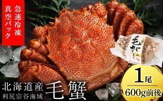 【12月20日決済確定分まで年内発送】北海道 利尻・宗谷産 毛ガニ 中サイズ（600g前後）1尾＜利尻漁業協同組合＞
