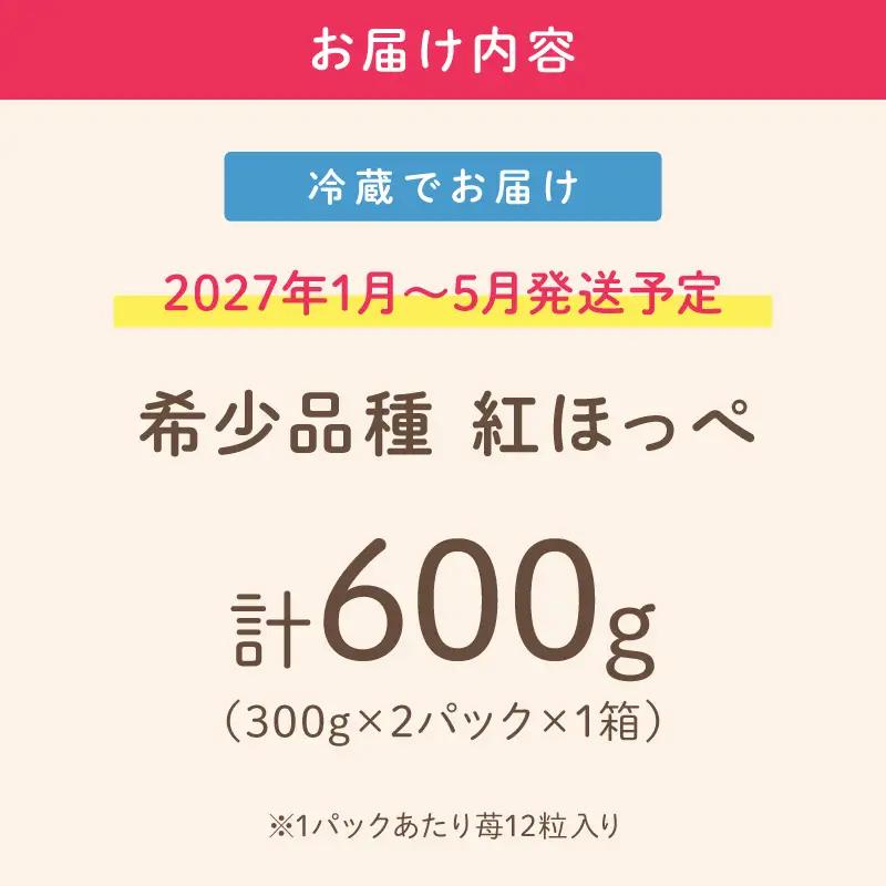 【2027年1月～5月発送予定】【いちご本来の甘酸っぱさを味わう】定番人気 紅ほっぺ 約600g（約300g×2パック×1箱）【配送不可地域：北海道・沖縄・離島】【121D-011-2027】