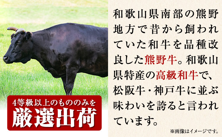和歌山産 高級和牛 熊野牛 ロース盛合せ焼肉 約500g エバグリーン《30日以内に出荷予定(土日祝除く)》 和歌山県 日高町 牛 うし 牛肉 熊野牛 和牛 高級（F)