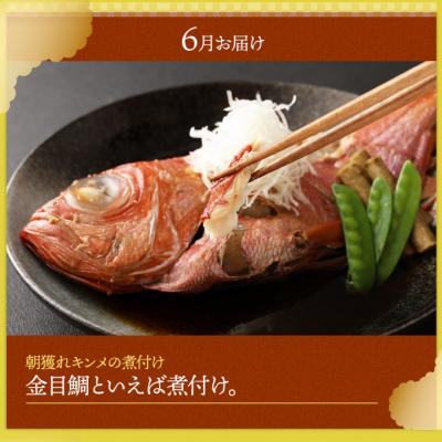 ふるさと納税 室戸市 漁師の食卓定期便おたのしみセットB【6回お届け】 |  | 02