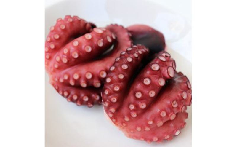 泉州タコ1ｋｇ kgp0026