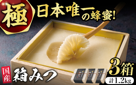 【先行予約 令和7年12月より発送】極箱みつ 3個セット 計1200g (400g×3個) / 蜂蜜 はちみつ ハチミツ はちみつ はちみつ ハチミツ [AFAI015]