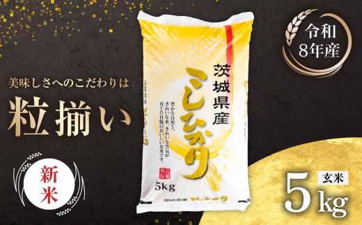 【9月発送 (新米 令和8年産)】玄米 コシヒカリ 5kg 茨城県下妻市産 【 お米 米 ご飯 こめ コシヒカリ 令和8年産 茨城県産 】