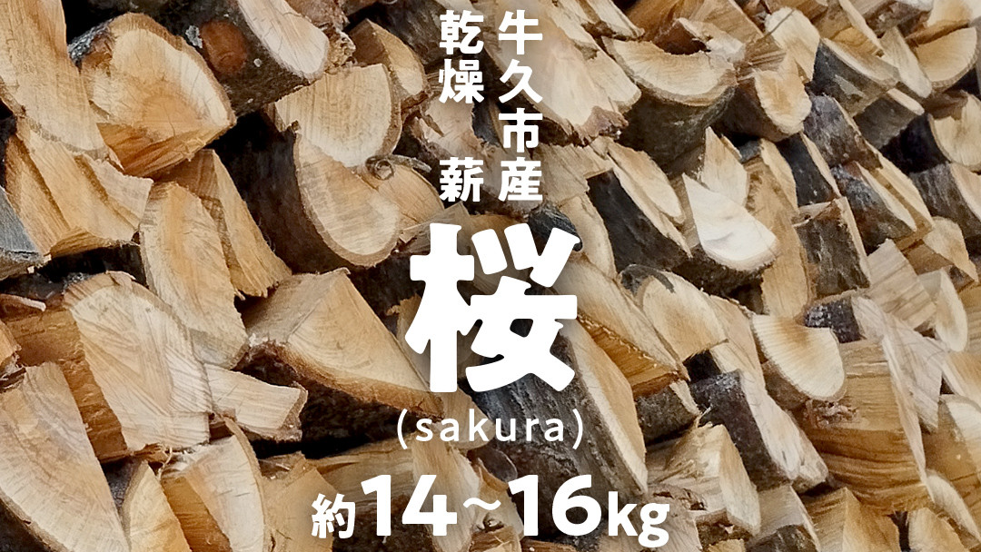 
            牛久市産 乾燥 薪 桜 ( さくら ) 約14kg～16kg 天然木 マキ 乾燥薪 広葉樹 キャンプ アウトドア 焚火 焚き火 薪ストーブ 暖炉 たき火 野外 屋外 バーベキュー薪 ピザ窯の薪 グリル焼
          