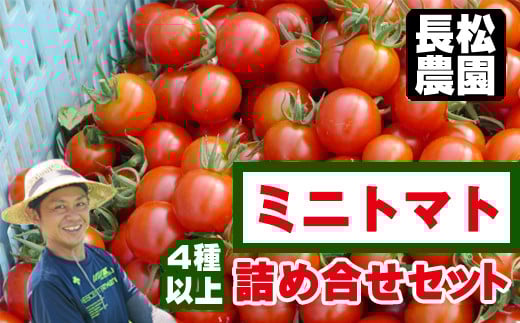 
            長松農園 ミニトマト 4種類 以上 約 2kg 【滝沢産業開発株式会社】／ ２ｋｇ 2キロ ２キロ 野菜 夏野菜 詰めあわせ 詰め合わせ 詰合せ 詰め合せ 詰合わせ 食べくらべ 食べ比べ セット おすすめ 数量限定 期間限定 季節限定 旬 旬野菜 オススメ 人気
          