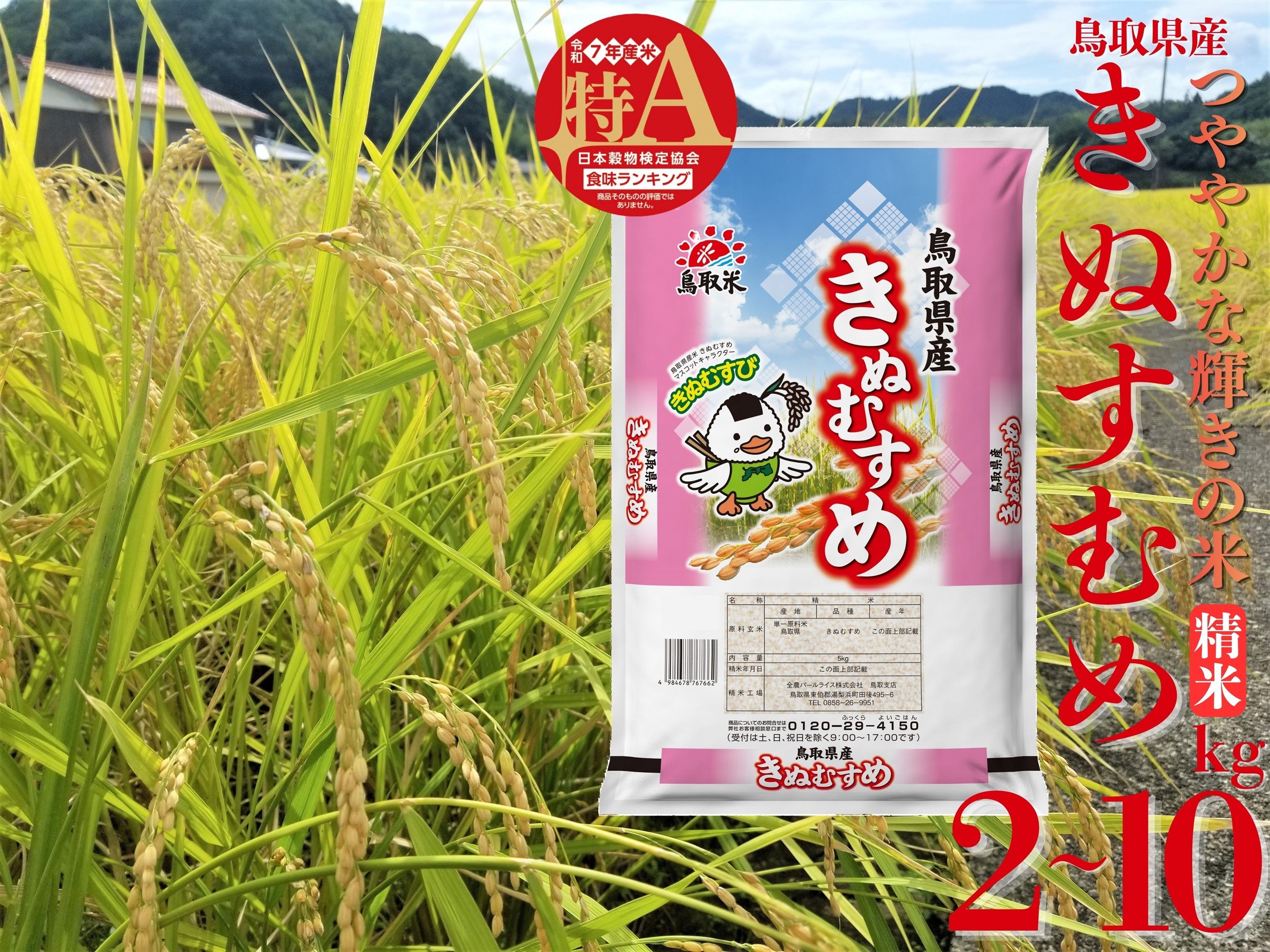 
                  きぬむすめ 精米 10kg 2kg 5kg 令和7年産 鳥取県 産 | お米 米 白米 ご飯 銘柄米
                