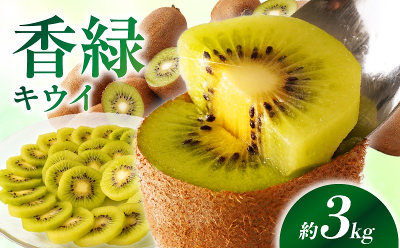 
                  【先行受付】香川県オリジナルキウイフルーツ「香緑」約3kg【香川県共通返礼品】 | キウイ フルーツ 果物 香川県 香緑 デザート サラダ ヨーグルト トッピング 国産 季節限定 青果物 旬 おすすめ |_mk006-030
                