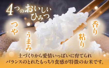 都城盆地のお米「おてんとそだち」6kg(3kg×2袋)_MJ-15-006-6kg_(都城市) 都城産 お米 6kg 