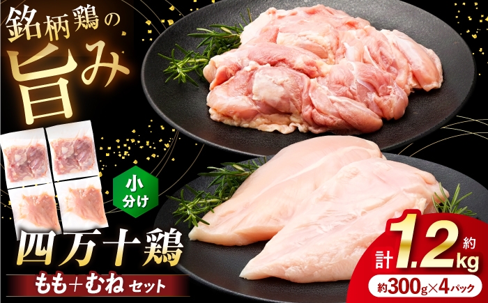 
                  【選べるお届け回数】四万十鶏 おいしいとこ鶏 セット (もも肉 むね肉  計約1.2kg)  3回・6回・12回 / 四万十鶏 もも肉 むね肉 冷凍【三栄ブロイラー販売株式会社】 [ATDP009]
                