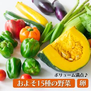 野菜 定期便 卵付き 旬の野菜セット 4人用 【12回】 益子町 AA036