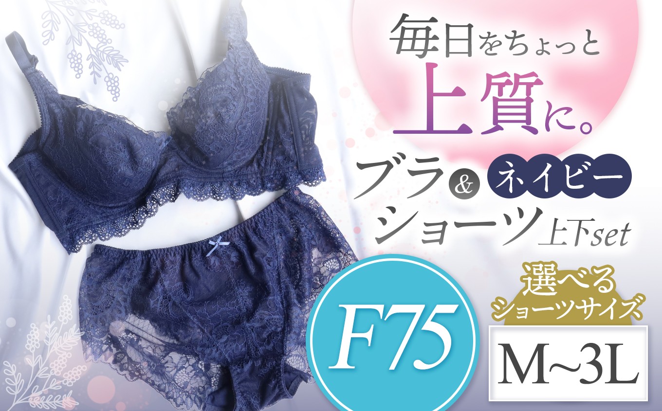 
            選べるショーツサイズ ブラ＆ショーツ 上下セット  ネイビー F75＆ショーツ M～3L | 女性用下着 レディース ブラ＆ショーツ ブラ ショーツ ネイビー 上下セット 君津市 きみつ 千葉県
          