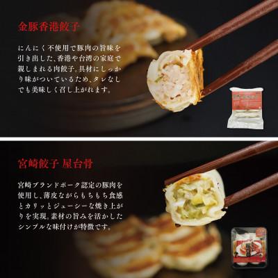 ふるさと納税 宮崎市 宮崎餃子　Aセット(風味バラエティセット) |  | 02