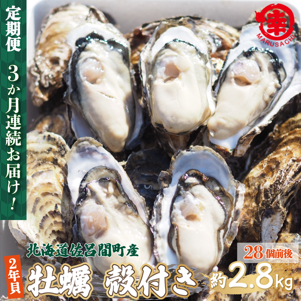 【先行予約】カキ 殻付き 2年貝 約2.8kg（28個前後） 佐呂間産 ［3回定期便］（2024年10月中旬より発送） SRMA004