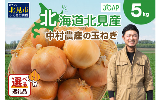 【2024年10月中お届け】北海道北見産 玉ねぎ 5kg ( 玉ねぎ 野菜 たまねぎ タマネギ 玉葱 甘い ハンバーグ 肉じゃが ふるさと納税 玉ねぎ )【002-0008-2024】