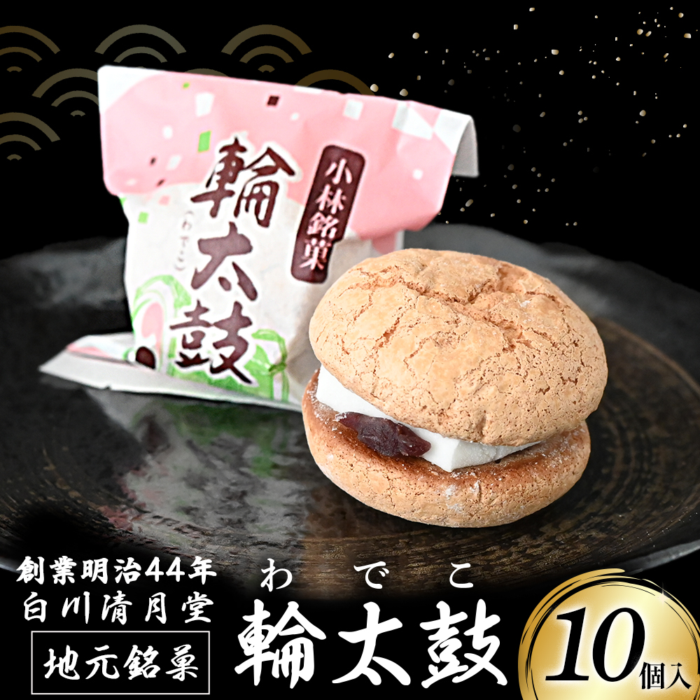 【E205】【地元銘菓】輪太鼓（わでこ）10個入（菓子 スイーツ 和菓子 ブッセ 餅 あんこ 銘菓 宮崎県）