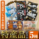 【ふるさと納税】いちき串木野特産品！さつま揚げ＆ご当地ラーメン(生麺)＆ちりめんセット＜5種＞本場の薩摩揚げ、まぐろラーメン、鹿児島黒豚とんこつラーメン、ちりめんじゃこなど人気の逸品を詰め合わせ♪【いちき串木野観光物産センター】