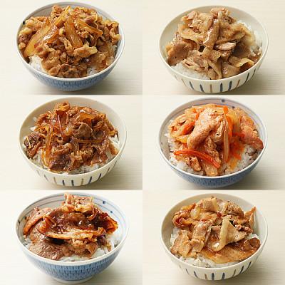 ふるさと納税 十日町市 6種の丼の具セット(6食)