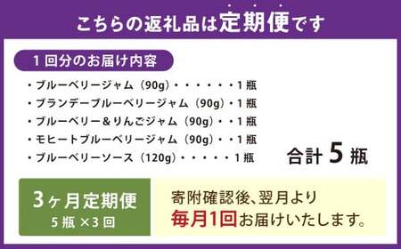 【3ヶ月定期便】きび糖 仕込みの ブルーベリー ジャム 5種 セット 各90g×1瓶 ブルーベリージャム りんごジャム 瓶詰め 瓶