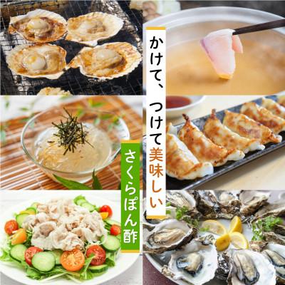 ふるさと納税 日置市 さくらぽん酢(360ml×2本)【伊集院食品工業所】No.1138 |  | 02