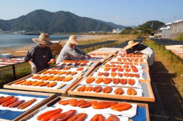 宮進商店謹製 本からすみ 100g以上【高級珍味】 カラスミ からすみ 魚卵